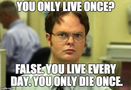 yolo